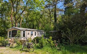 Ruim Chalet, Midden In Het Bos!