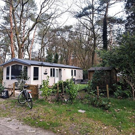 Ruim Chalet, Midden In Het Bos! Nunspeet Buitenkant foto