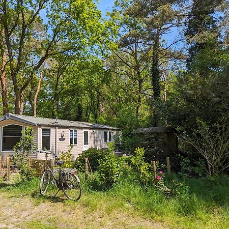 Ruim Chalet, Midden In Het Bos! Nunspeet Buitenkant foto